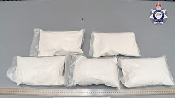 Two men charged over alleged 84kg ketamine bust concealed in cars imported to Sydney.