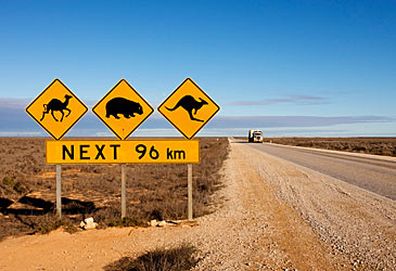 Road warning signs on Nullabor highway (Getty)