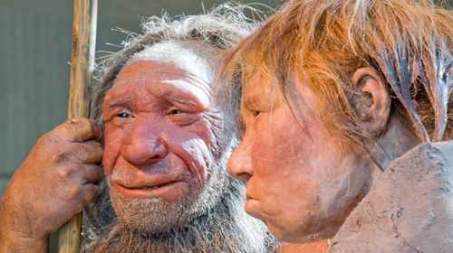 Neanderthal men may have been unable to impregnate human women