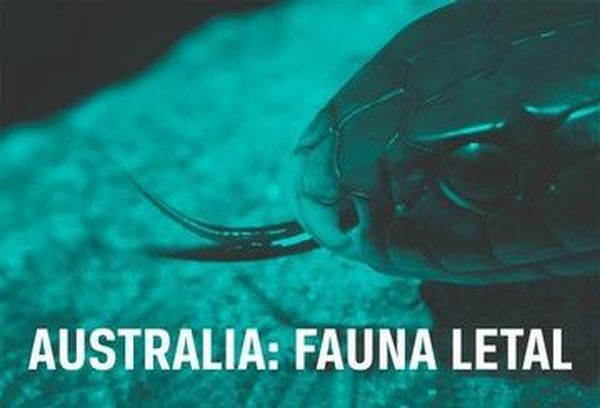 Deadly Australians