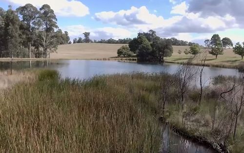 Fruit and nut growers around Stanley rely on local groundwater.