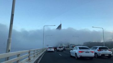 Fog and bus strike create perfect storm for Brisbane commuters