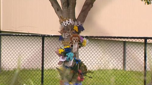 Toddler Death Queensland