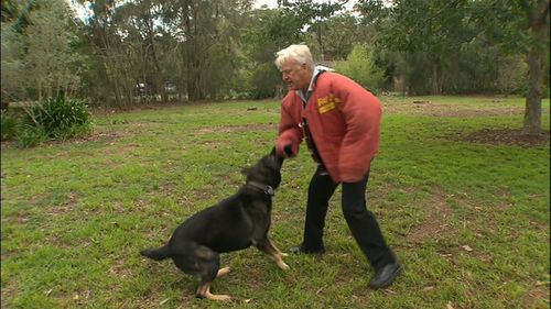 Mr Austin said that if a person remains calm, doesn't look at the dog directly and minimises their injuries, a canine should be defused (Supplied).