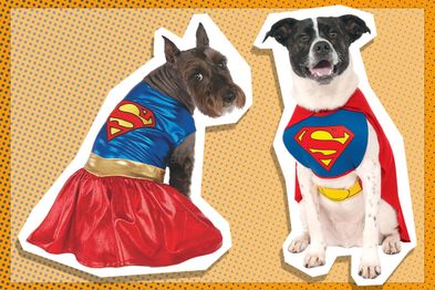 DC Superhero Superman Halloween Dog Costume - Small 