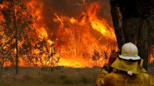 A firefighter battles a blaze in Old Bar, NSW on Saturday.