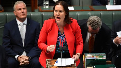 Meanwhile, Government Minister for Women Kelly O'Dwyer dismissed the idea of a parliamentary gender problem, saying the 'Liberal Party is the natural home for women'.