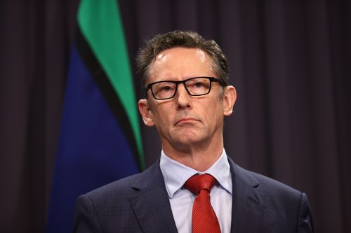 Treasurer Jim Chalmers and assistant treasurer Stephen Jones during a press conference at Parliament House in Canberra on November 18, 2024. Fedpol. Photo: Dominic Lorrimer