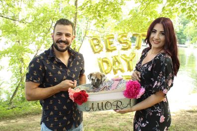 My Wedding Day Brittany Cherchian elopement second wedding puppy proposal