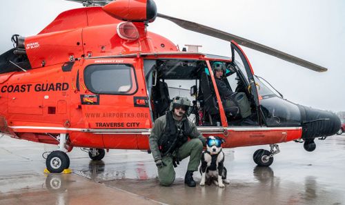 The canine helps by "shooing away" animals. (Airport K9/ Facebook)