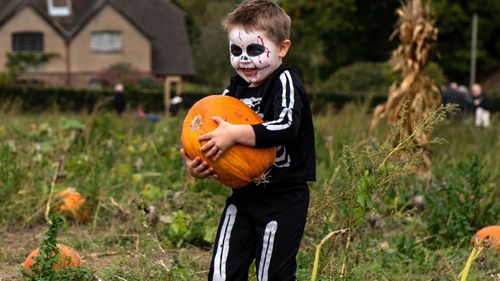 What's allowed this Halloween varies from state-to-state.