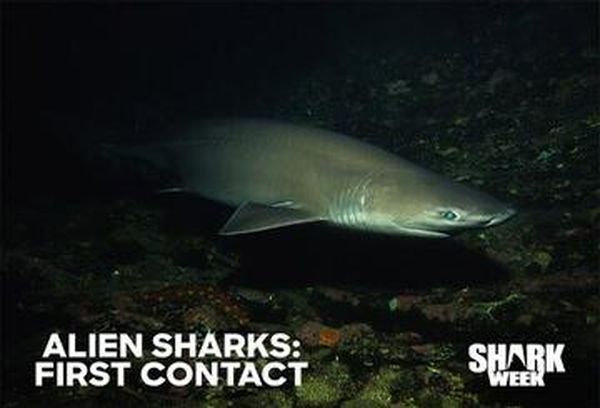 Alien Sharks: First Contact
