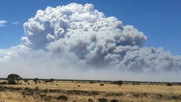 A massive plume of smoke from the Eyre Highway fire. (Twitter/WA Parks and Wildlife)