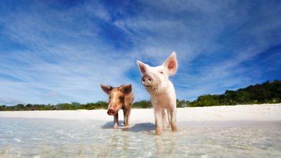 Exuma Beach