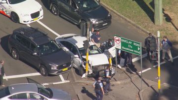 A car chase has unfolded across multiple Sydney suburbs.