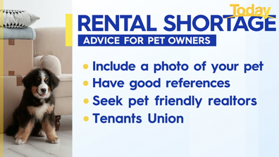 Advice for pet owners amid rental shortages.