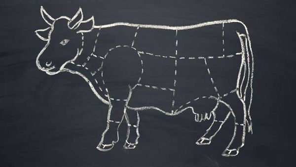 The best cuts of beef