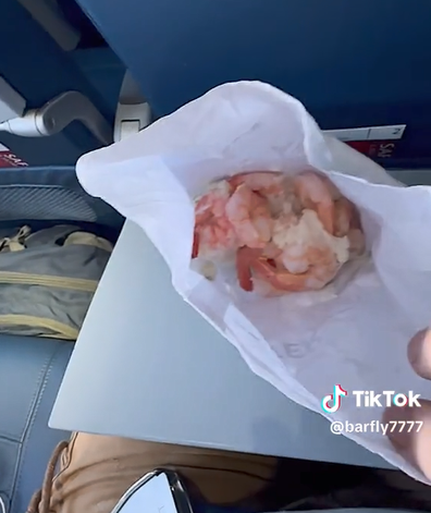 Plane passenger cooks garlic shrimp in bathroom mid-flight