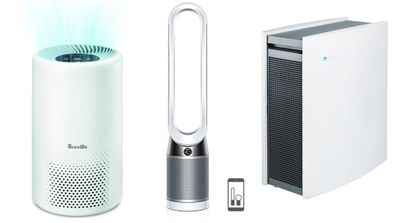 Everything you need to know about buying an air purifier