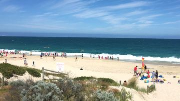 The great white ﻿was spotted 200 metres offshore from Swanbourne Beach, a popular nudist beach in Perth, just before 3pm on Thursday.