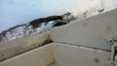 A photo of the black mould in Ms Christine's Melbourne rental property.