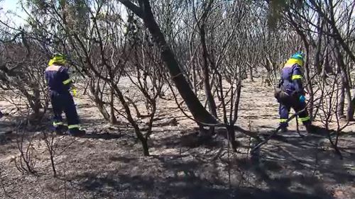 Investigators inspect the burnt foliage. (9NEWS)