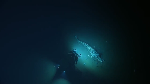 The Monterey Bay National Marine Sanctuary team earlier this month sent their exploration vessel Hercules out to the Davidson Seamount about 3200 metres below the surface.