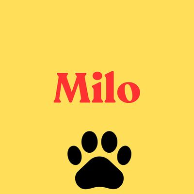 3. Milo
