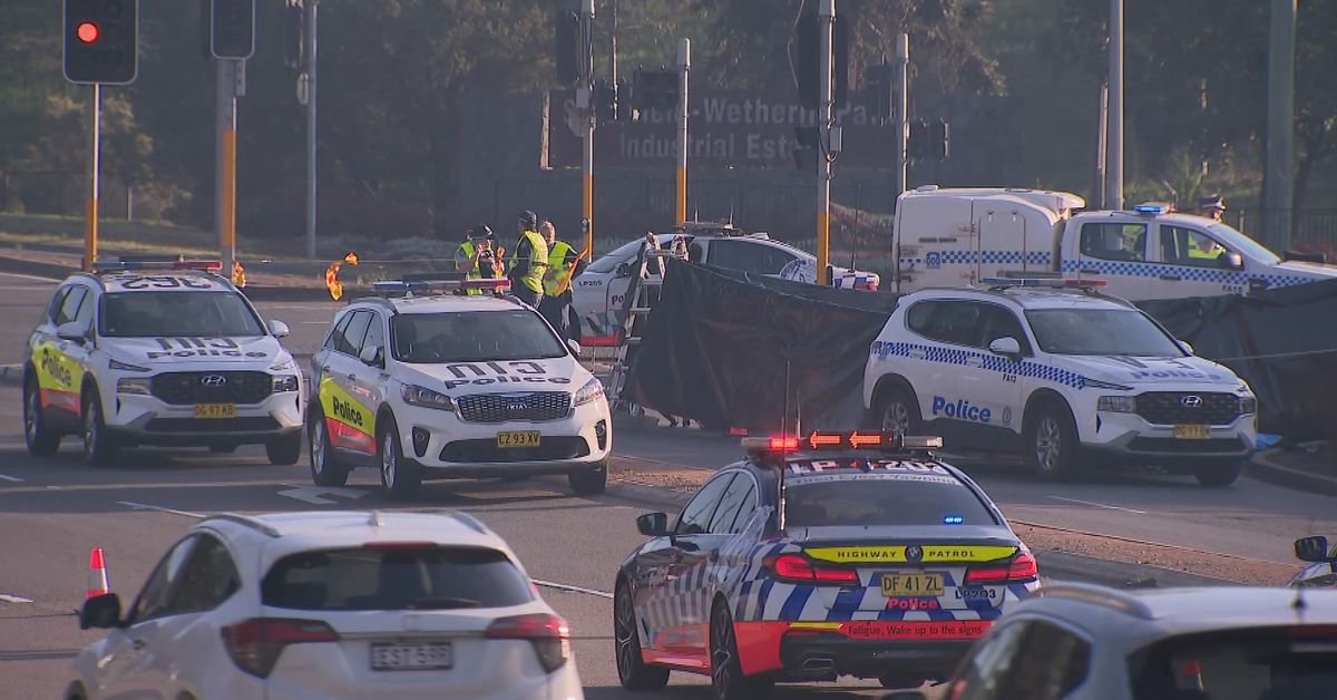 Wetherill Park: Woman dead after she was hit by truck in Sydney
