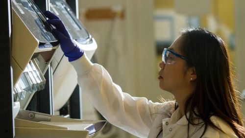 I ricercatori hanno condotto test genetici su campioni di donne morte di cancro ovarico in uno studio condotto dal Peter MacCallum Cancer Center di Victoria.