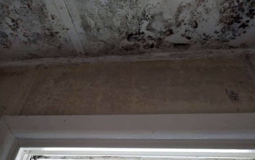 The bathroom ceiling of Ms Bowman's public housing rental was covered in mould.