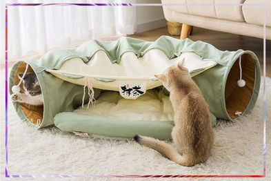 9PR: Wuciray Cat Bed Play Tunnel