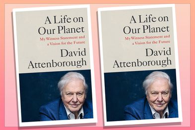 9PR: A Life on Our Planet, by David Attenborough book cover