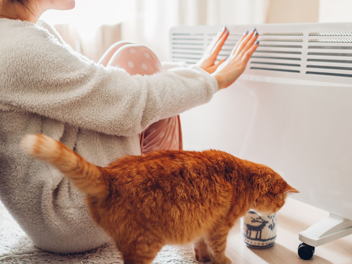 Electric heater review 2021: CHOICE testing of 13 electric heaters finds  none of them are good enough to recommend