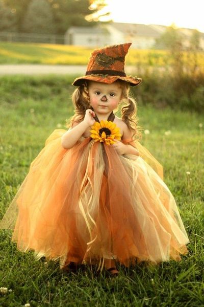 Sweet scarecrow