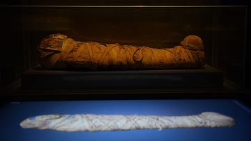 Mummy of a boy named Horus lays in a case above the interactive CT scans that will be on display at the Chau Chak Wing Museum at the University of Sydney.