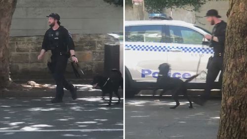 Trois hommes ont été inculpés après avoir prétendument effectué un salut nazi devant le musée juif de Sydney.