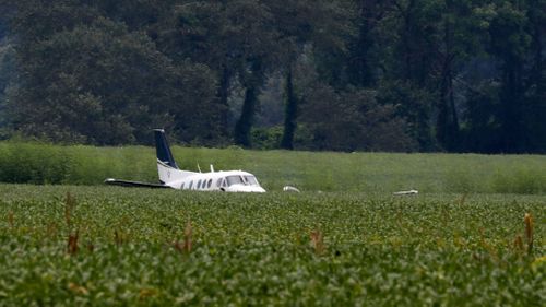 A stolen plane rests in a field of soybeans after crash-landing