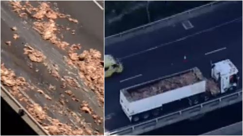 Offal has spilled from a truck on Melbourne's West Gate Freeway. (9NEWS)