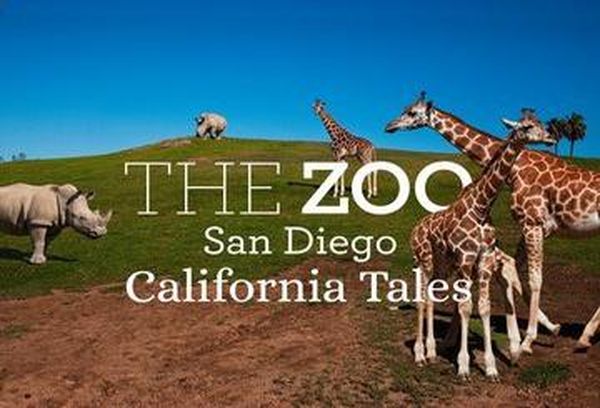The Zoo: San Diego - California Tales