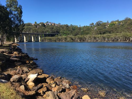 The cool water beneath the Roseville Bridge looks enticing as the heat across Sydney ratchets up. (Tom Hayfield/(9NEWS)
