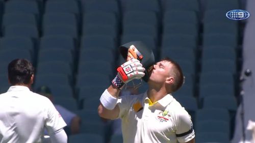 Warner reaches his tenth test ton. (9NEWS)