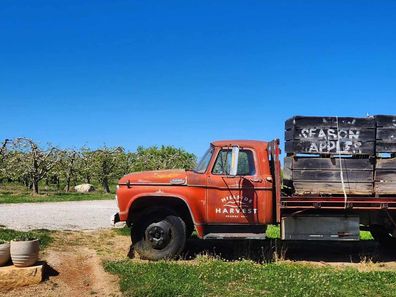 hillside harvest orchard borenore