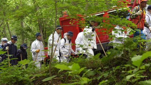 Japanese boy missing in bear-inhabited woods after his parents abandoned him as punishment