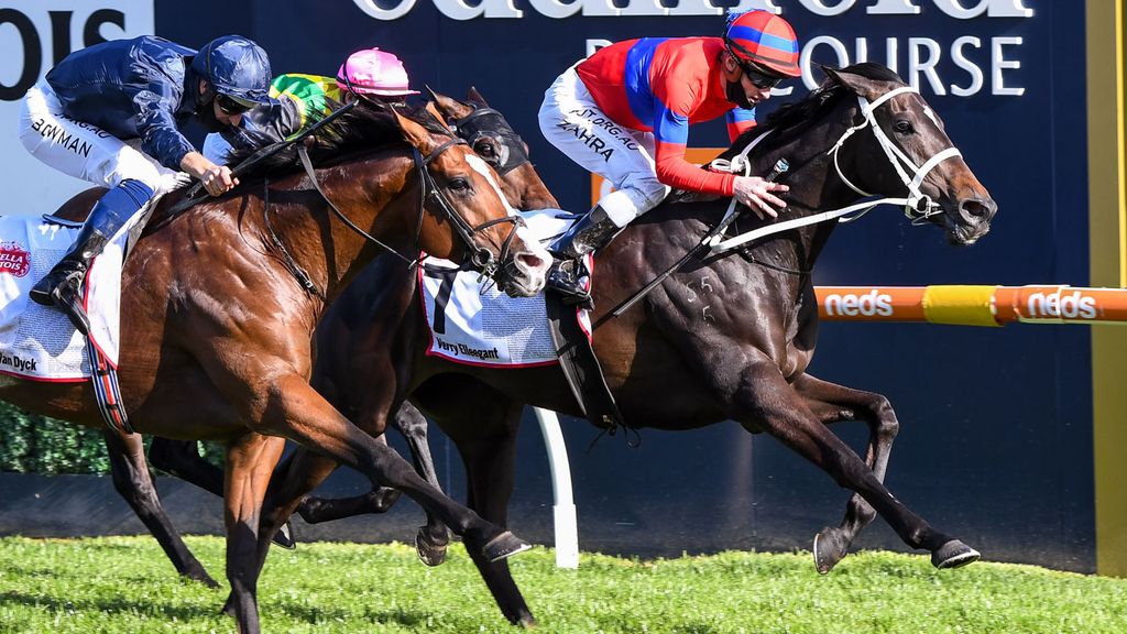 Melbourne Cup Horses