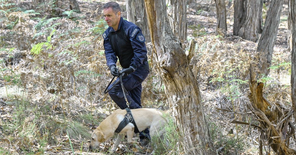 Technologie-Spürhunde leiten die Suche nach der Leiche der viktorianischen ...