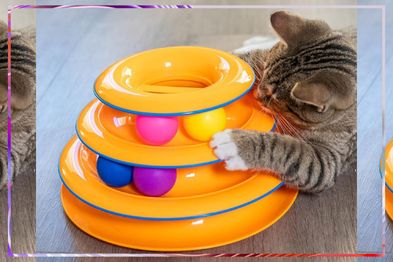 9PR: Petstages Tower of Tracks Cat Toy