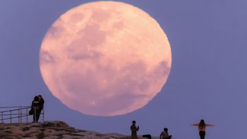 The super blue moon rises over Bondi Beach.  