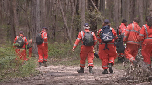 SES volunteers were part of a dedicated team searching Enfield State Park for traces of the missing mum.