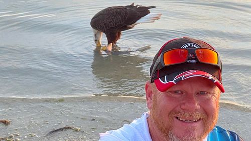 Bald eagle steals Florida man's fishing catch